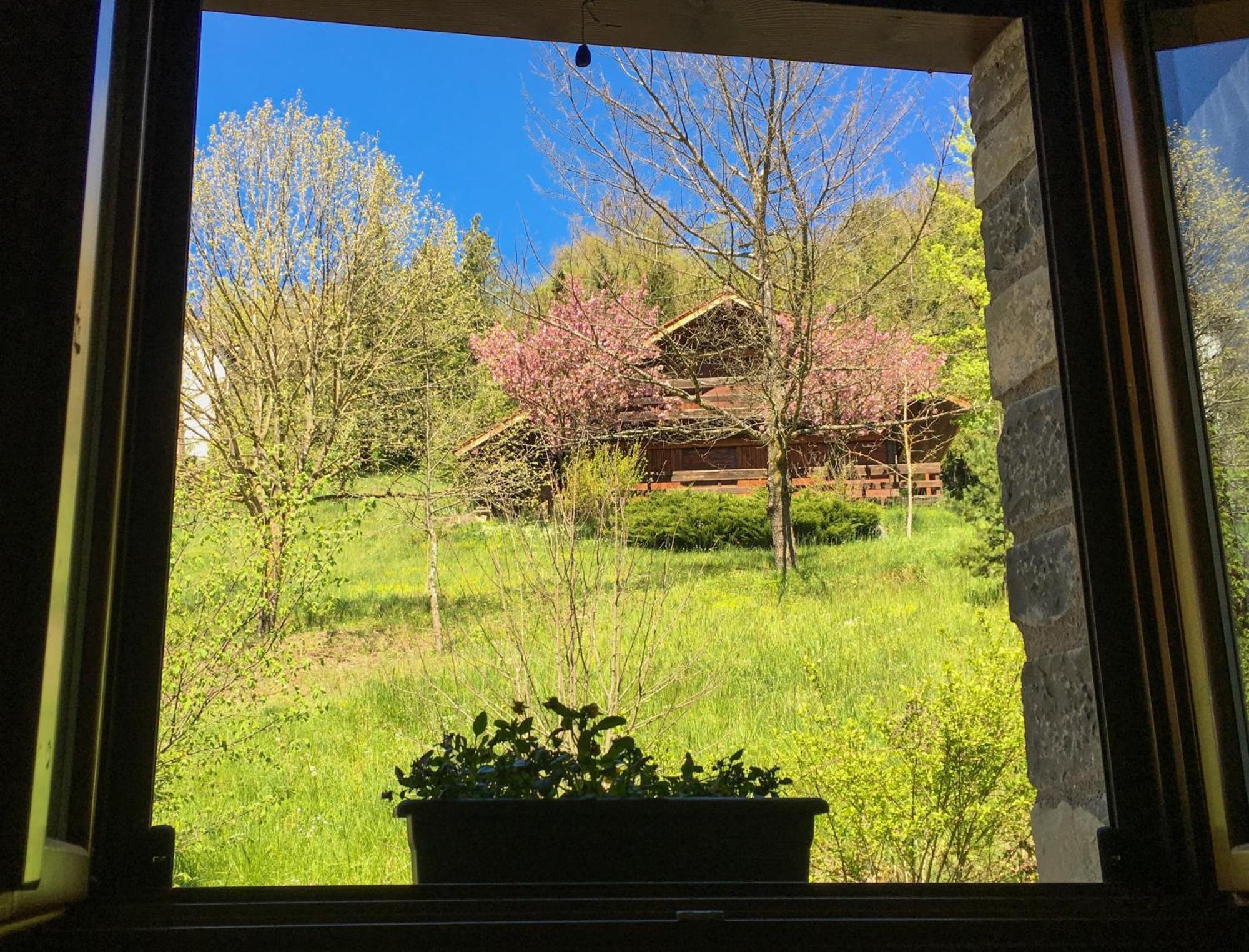 Apartamento Ikuilu Ochagavia-Selva De Irati Exterior foto